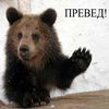 Деньги в управление форекс отзывы