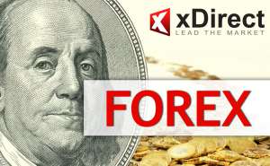 Регулирование форекс в украине Регулирование форекс в украине