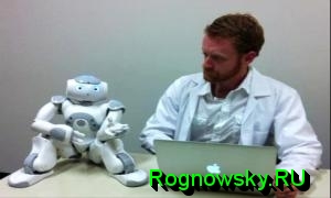 Лучший торговый робот форекс