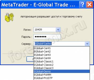 Номер форекс счета мт логин